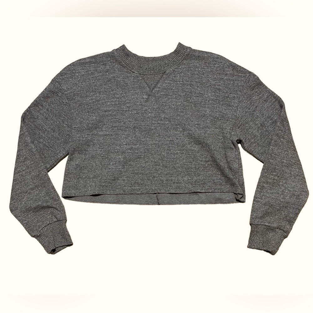 Zara Cropped Crew Neck Shirt Sz S